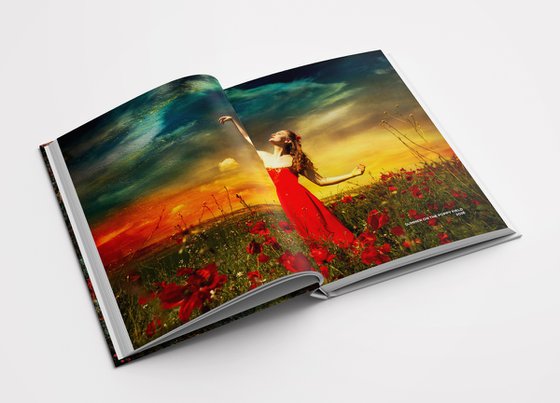 Summer on the poppy field