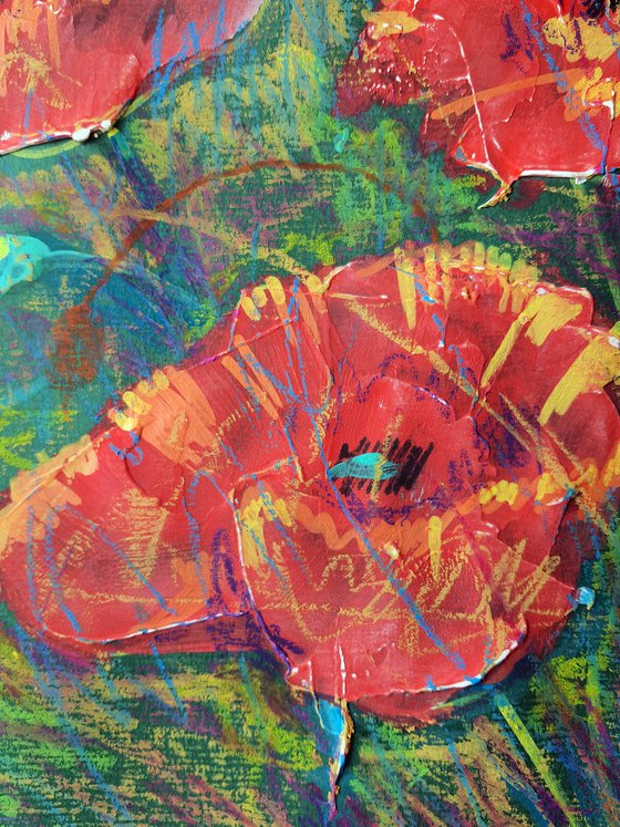 Poppies 4