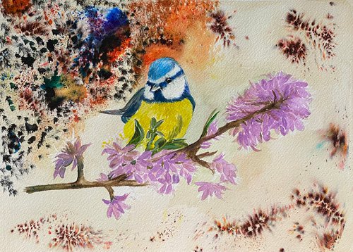 Colourful bird painting by Maxine Taylor