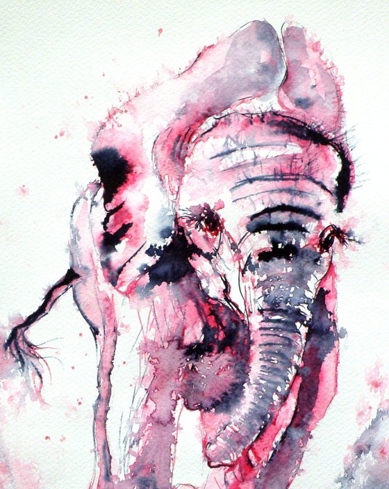 Playing elephant baby