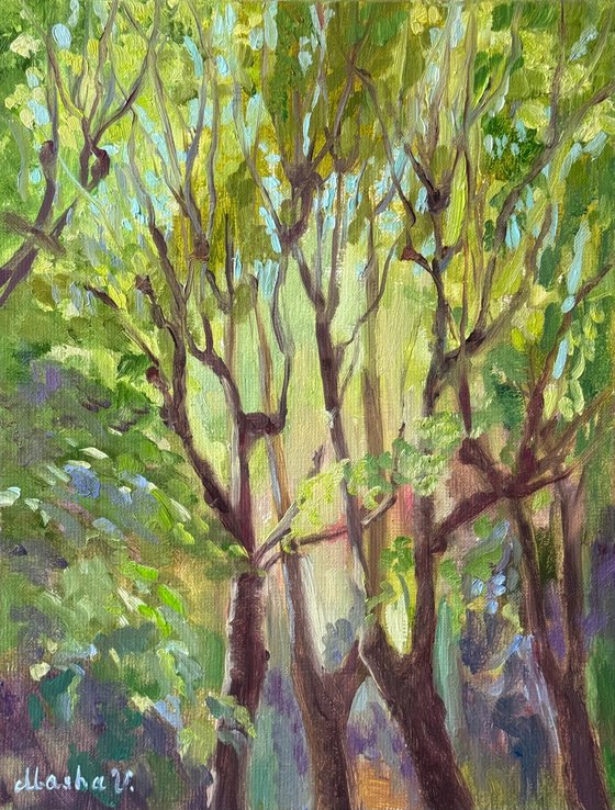 Light Between the Leaves 2