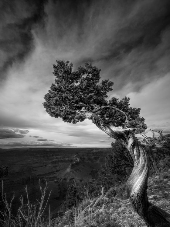 South Rim Grand Canyon