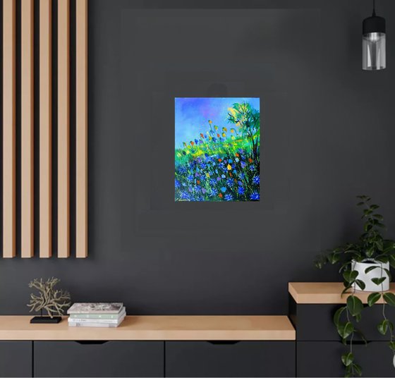 Summer Wild flowers -5623