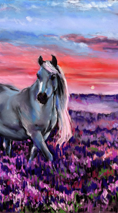 Welsh Pony by Zoe Elizabeth Norman