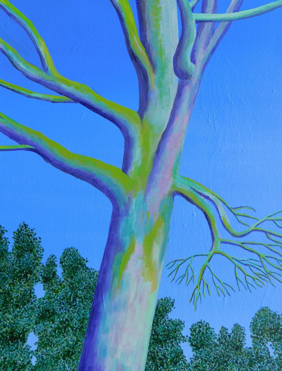 Photorealistic Oil Painting , 0Ak Tree By Ruth Cowell, 12 X 16, Artwork For Sale On Artfinder