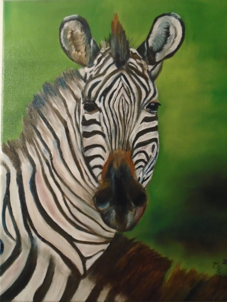 Zebra by Timea Valsami