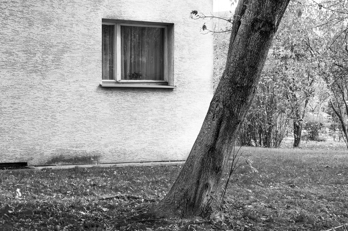 Personal Garden (from Trees set) by Adam Mazek