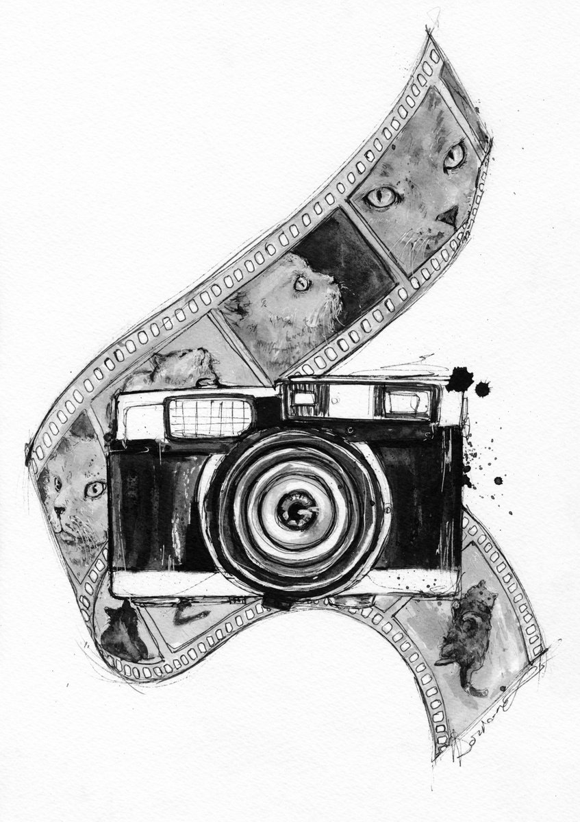 Camera by Doriana Popa