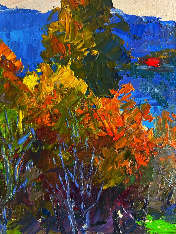 View from the Autumn Forest