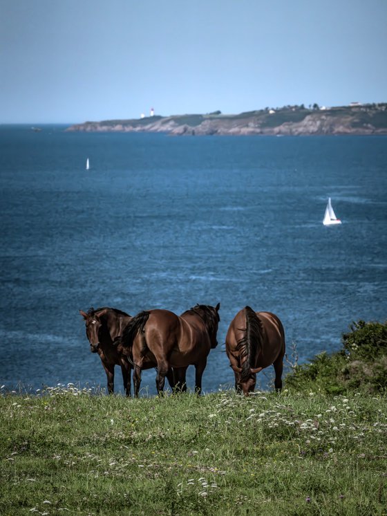 BRETON SCENARY