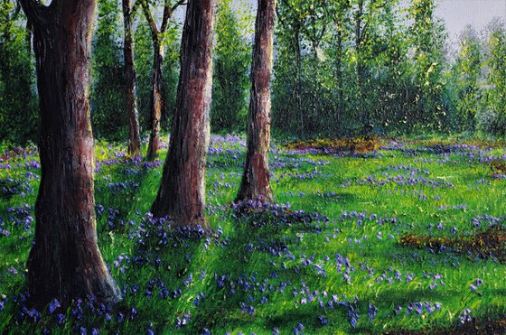 Bluebell Walk