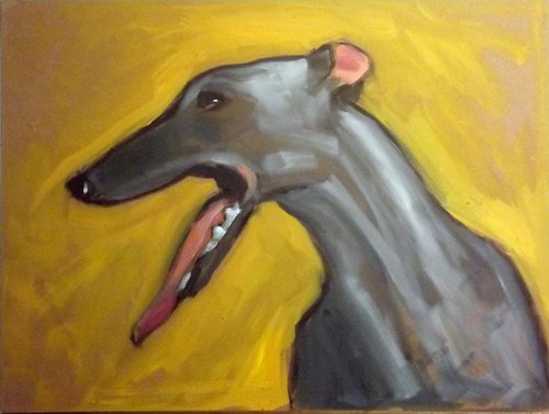 portrait of a greyhound by Alex Ocampo