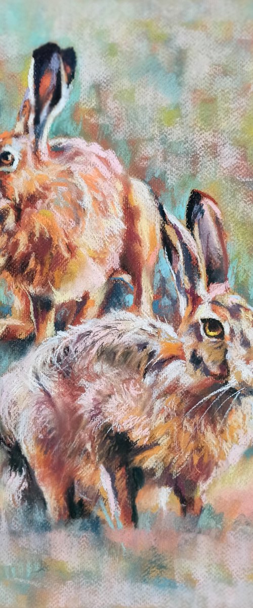 bunnies by Magdalena Palega