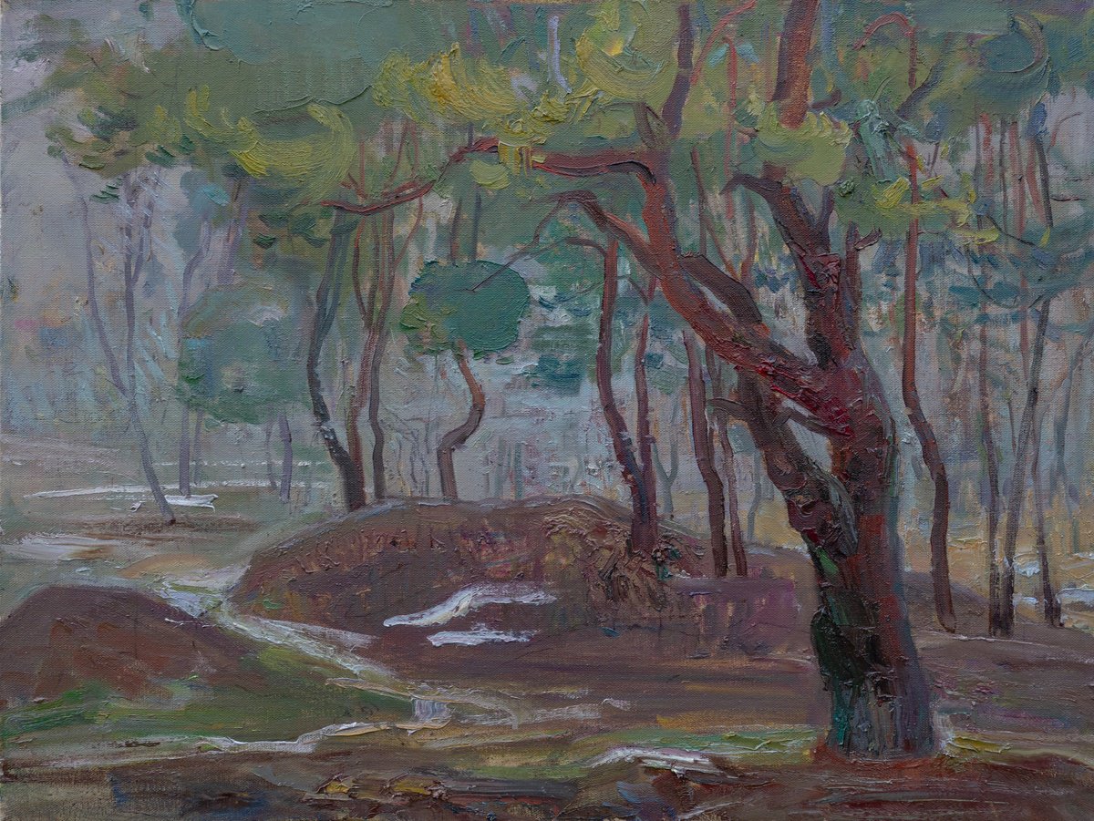 Impressionistic Landscape Oil Painting By Victor Onyshchenko, 31 X 24", Landscape In The Fog, Original Artwork