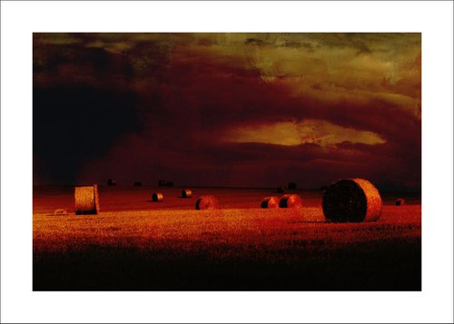 Dark Harvest by Martin  Fry