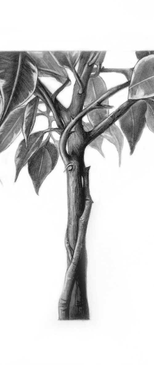 Unity by Anna Lyashenko