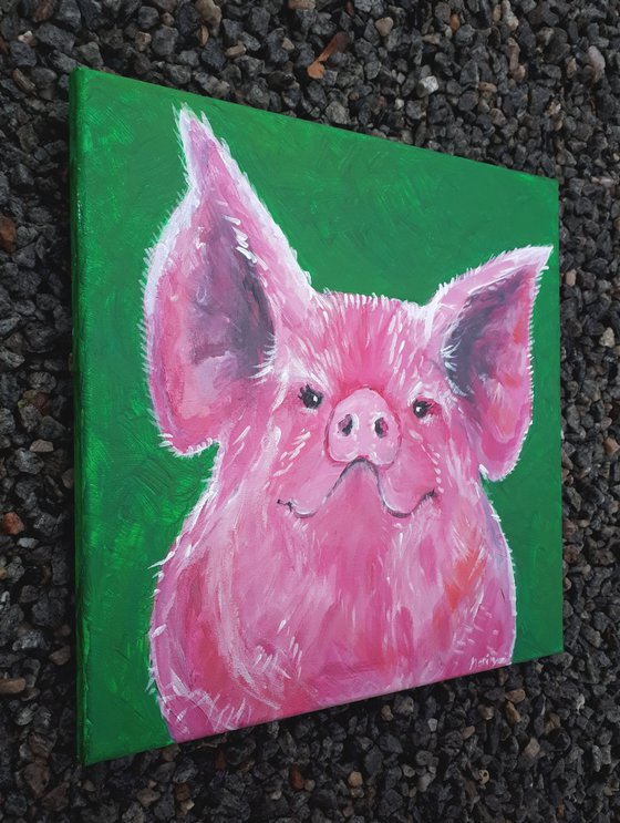 "Billy the pig"