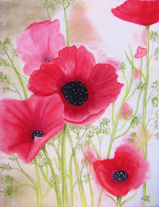 Red Poppies Pastel Drawing By Linda Burnett 