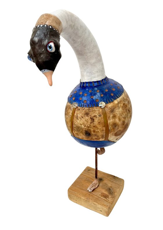 The blue goose