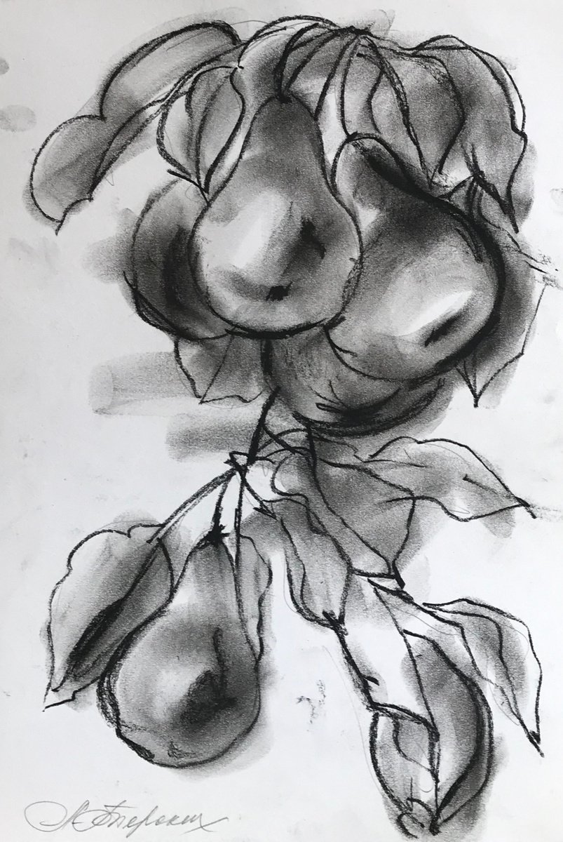 Botanical Charcoal Drawing By Anastasia Terskih, 8 X 12, 