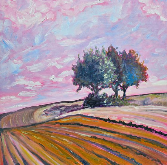 Pink Sky Fields in Fall