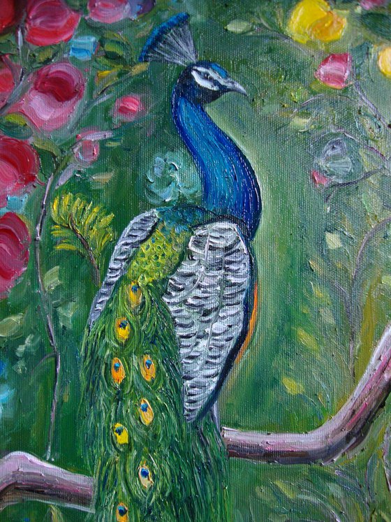 Mr. Peacock