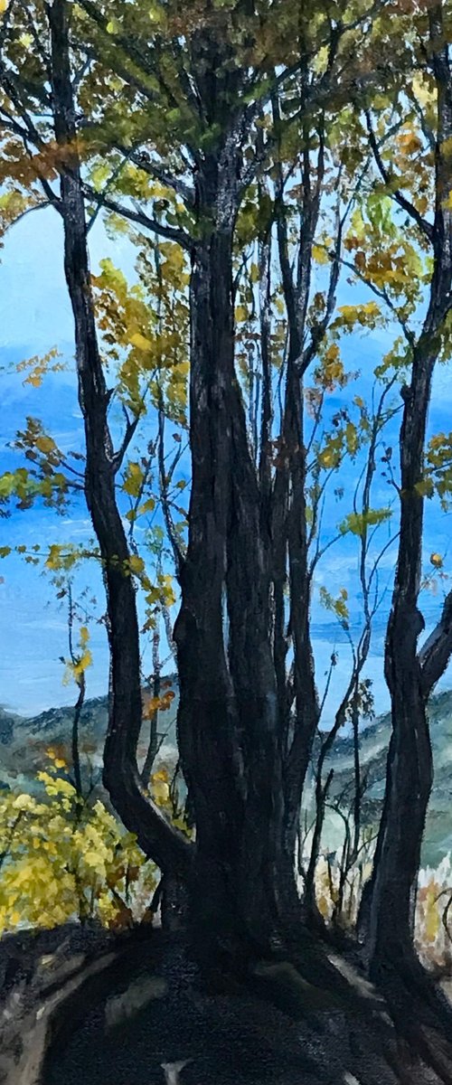 Autumn In Montenegro by Marina Deryagina