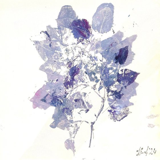 Shadow 33
