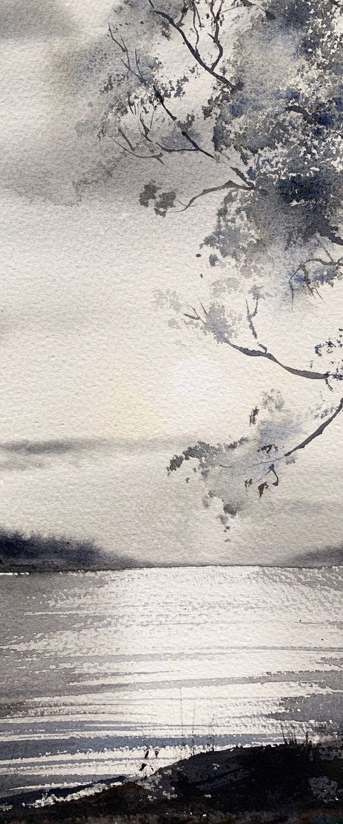 Tree, Lake Narach, Belarus by Eugenia Gorbacheva