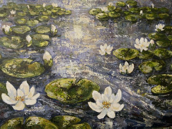 Rain on Lilly pond