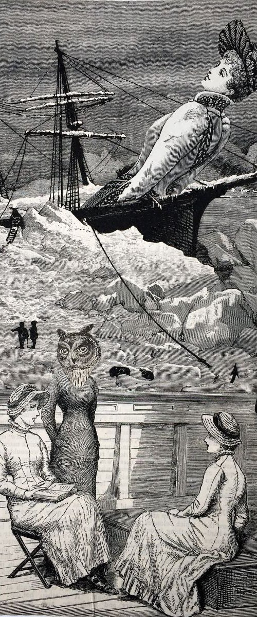 Caught in the Ice … by Tudor Evans