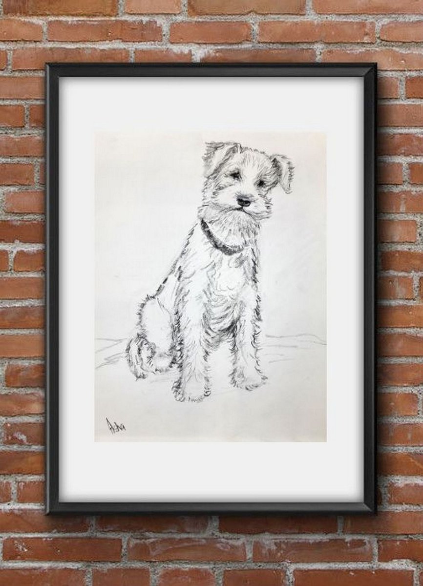 Wire fox Terrier Pet Dog by Asha Shenoy