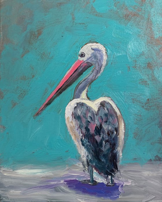 Pelican, bird.