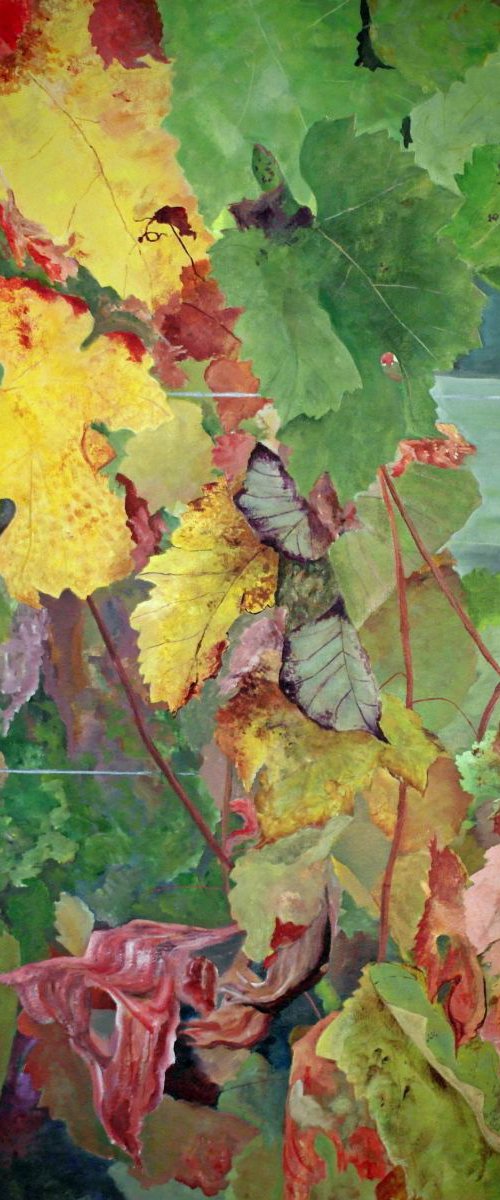 Magione Vineyard by Steven Fleit
