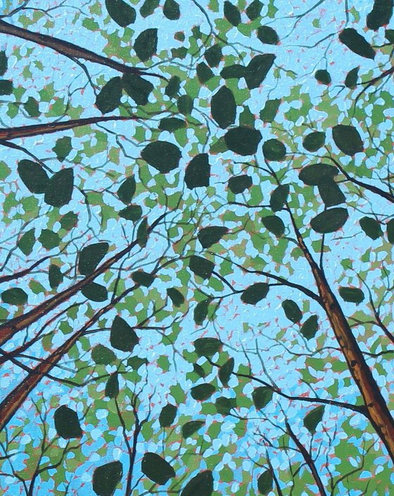 Canopy