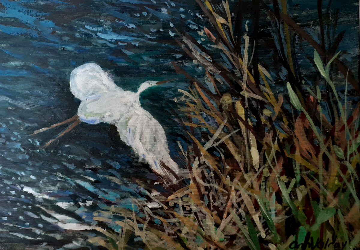 Egret on the Witham by Ann Kilroy
