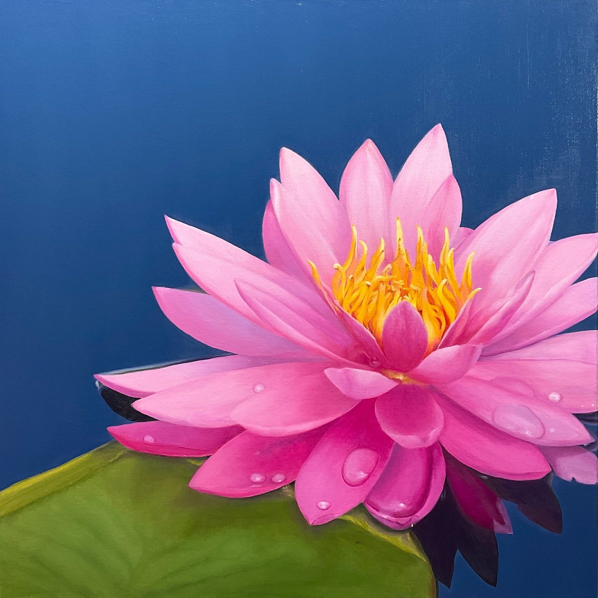 Photorealistic Botanical Oil Painting By Alla Kallass, 24 X 24, Shine. Water Lily, Original Artwork