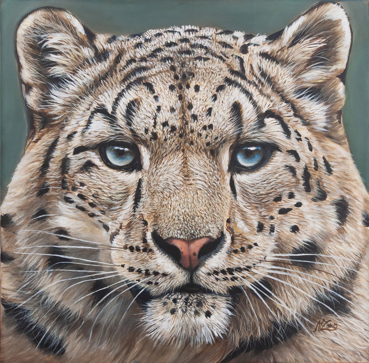 Eyes Of The Snow Leopard By Norma Beatriz Zaro, 12 X 12, Artwork For Sale On Artfinder