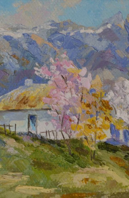 Spring in the mountains by Tatyana Ambre