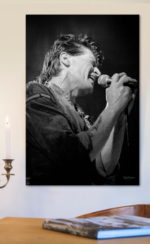 Herman Brood - Wild Romance by Robbert Frank Hagens