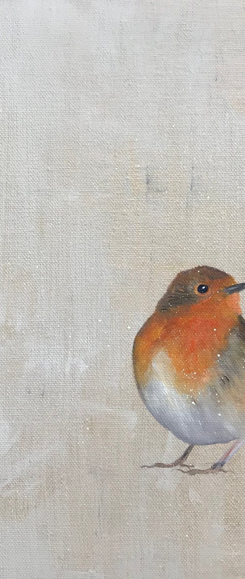 Robin by Laure Bury