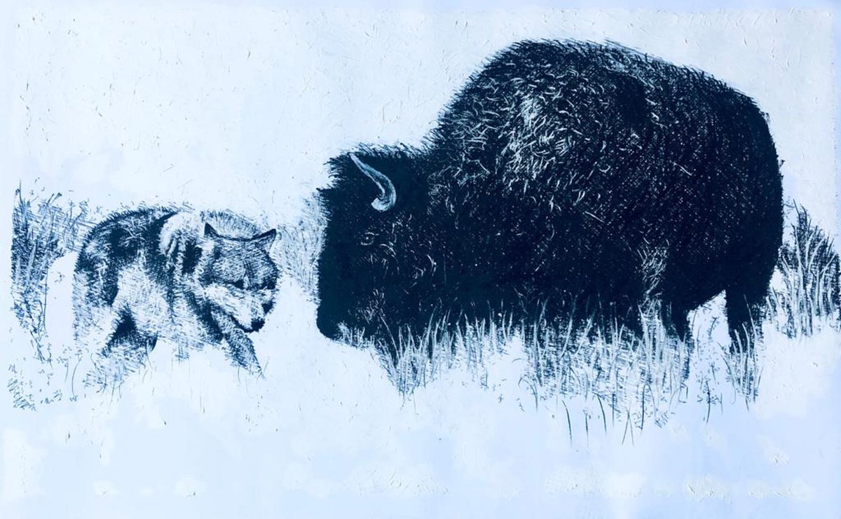 Impressionistic Animal Charcoal Drawing By Shabs Beigh, 54 X 34", Bison & Wolf, Original Artwork