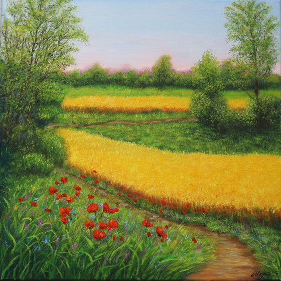 Country landscape with poppy meadow