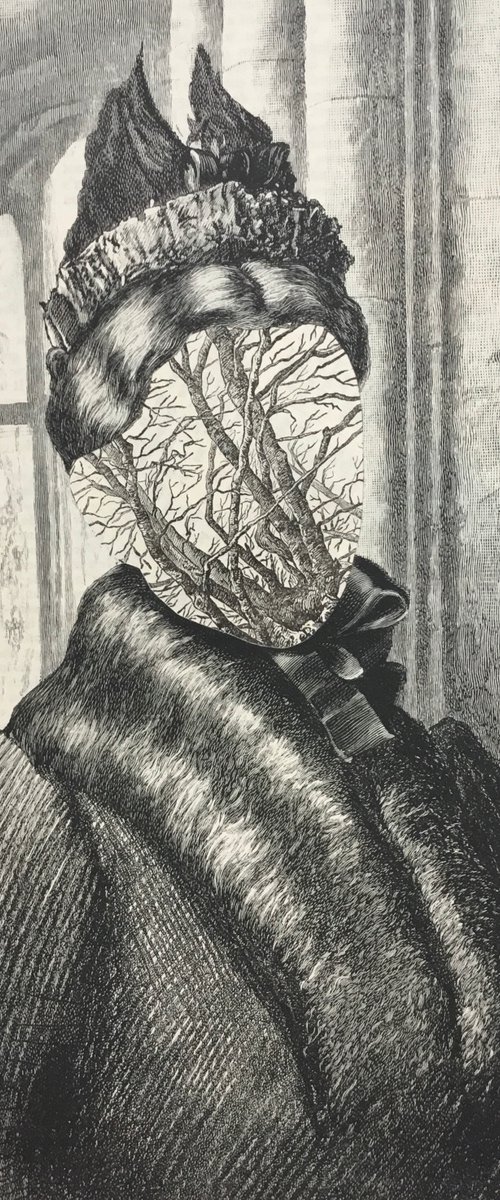 Anatomy Arteries by Tudor Evans