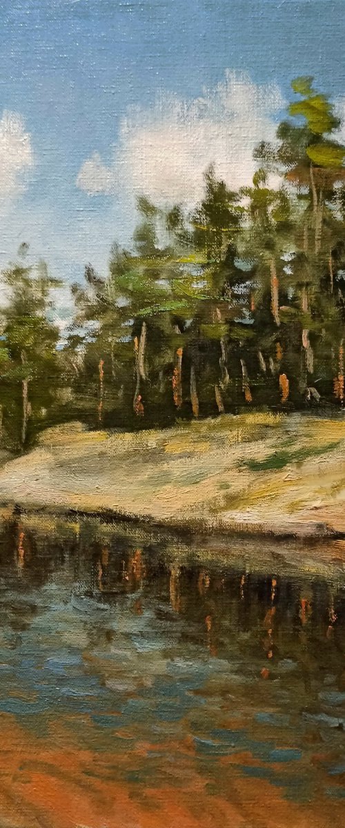 A summer day by the river by Oleh Rak