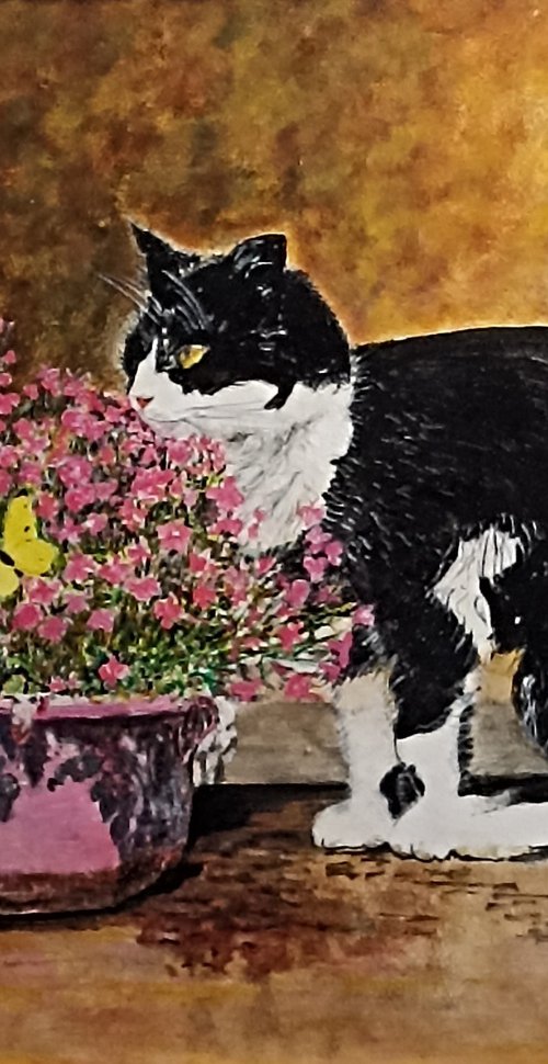 cat, flowers and butterfly by Isabelle Lucas