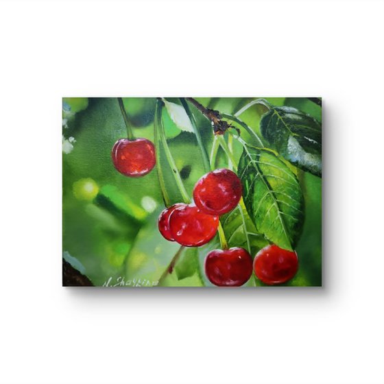 Red Cherries on Branch