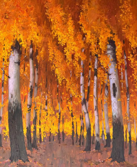 Autumn Birch Forest