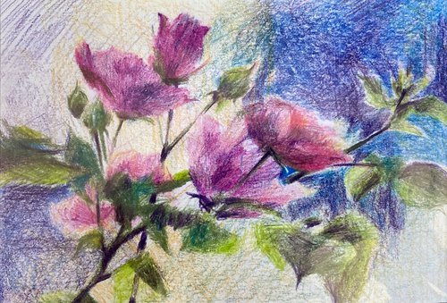 Roses - pencil drawing by Anna Boginskaia