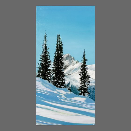 Winter Wonderland. Landscape